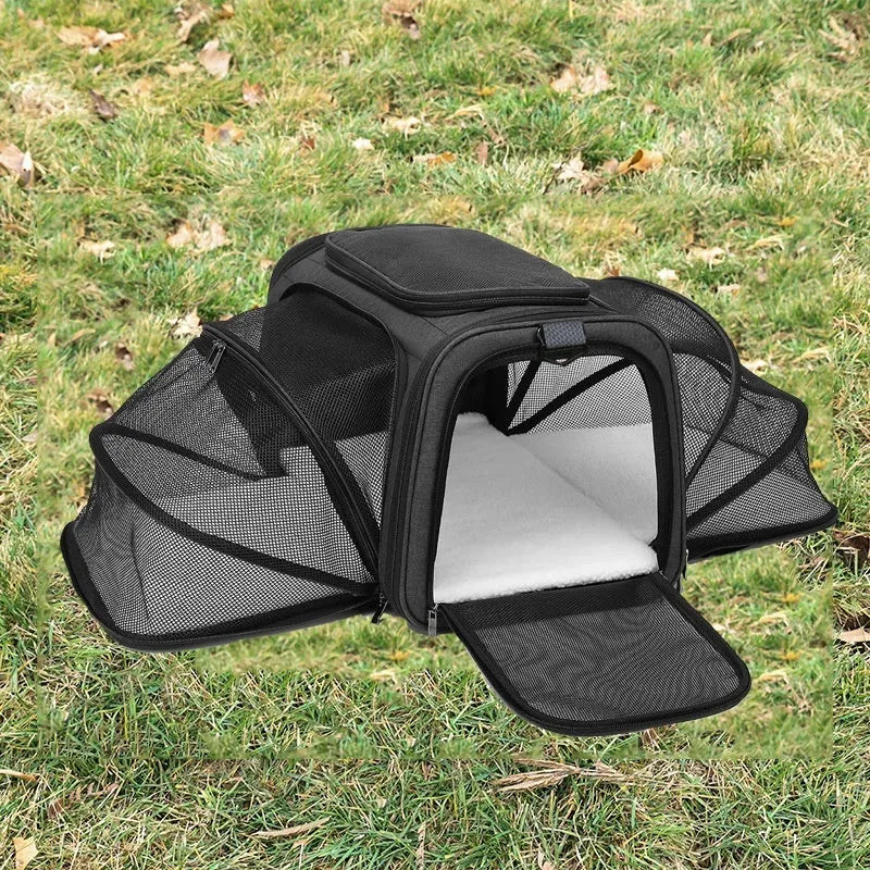Cat carrier bag in black with red piping made from 600D cation fabric showing portable design