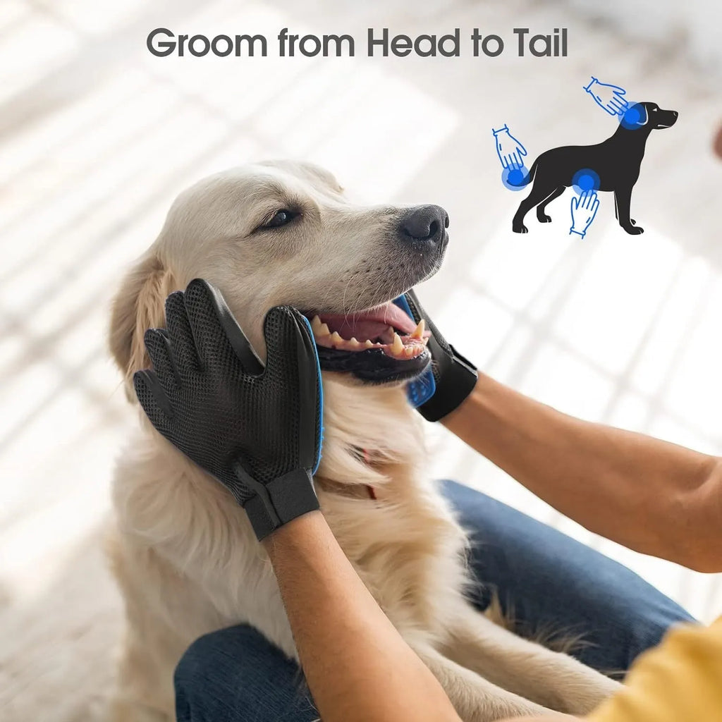 Blue pet grooming gloves with silicone tips for removing hair from dogs cats horses