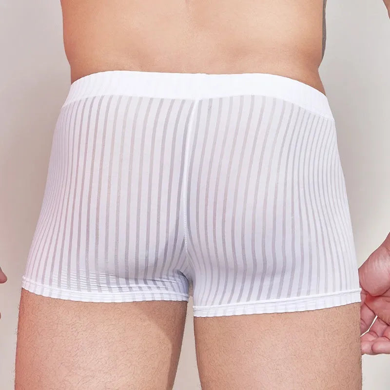 Men's striped nylon underwear in thin transparent fabric, black dark grey white colours
