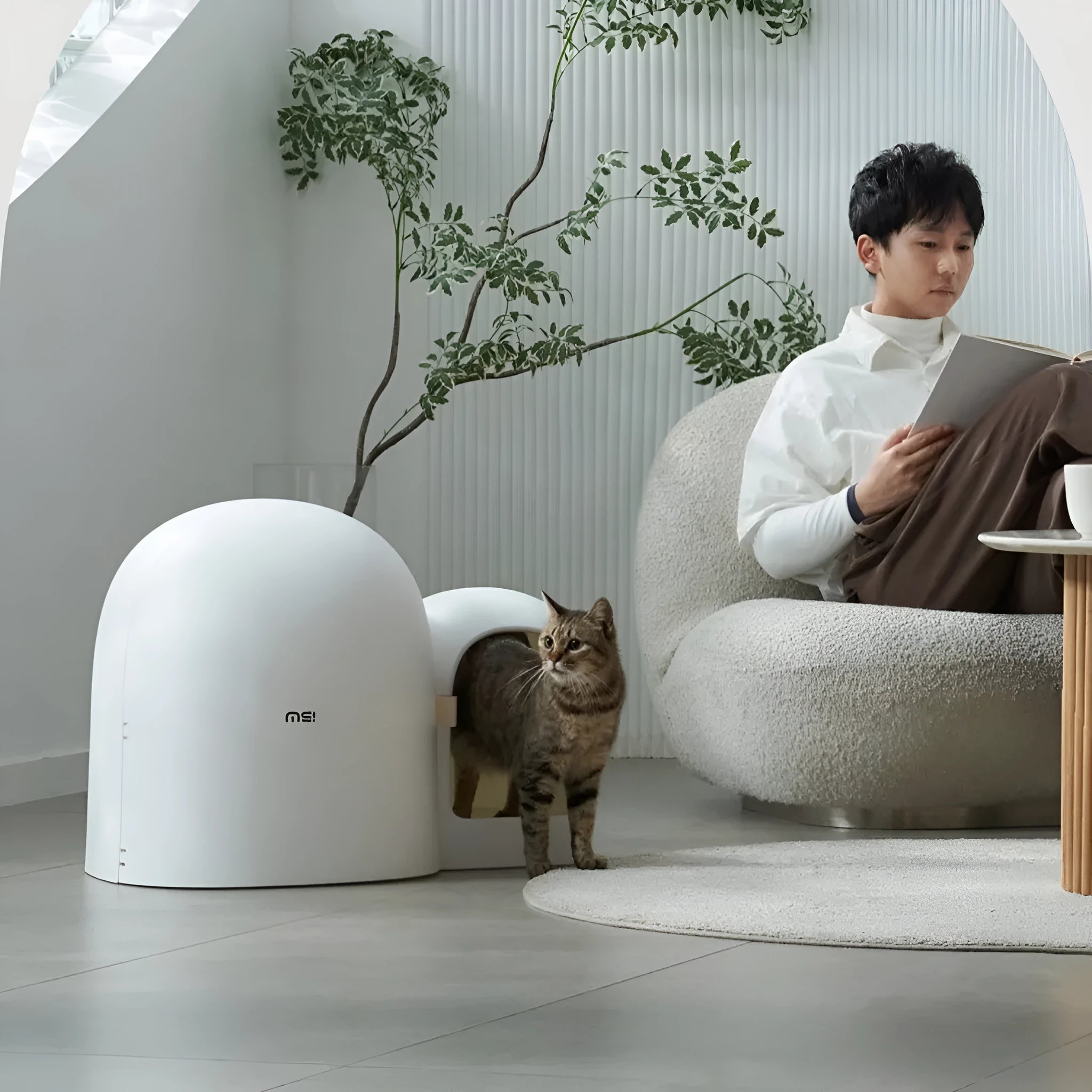 Enclosed oversized cat litter box in three colour options showing dimensions 67.7cm long by 49cm wide