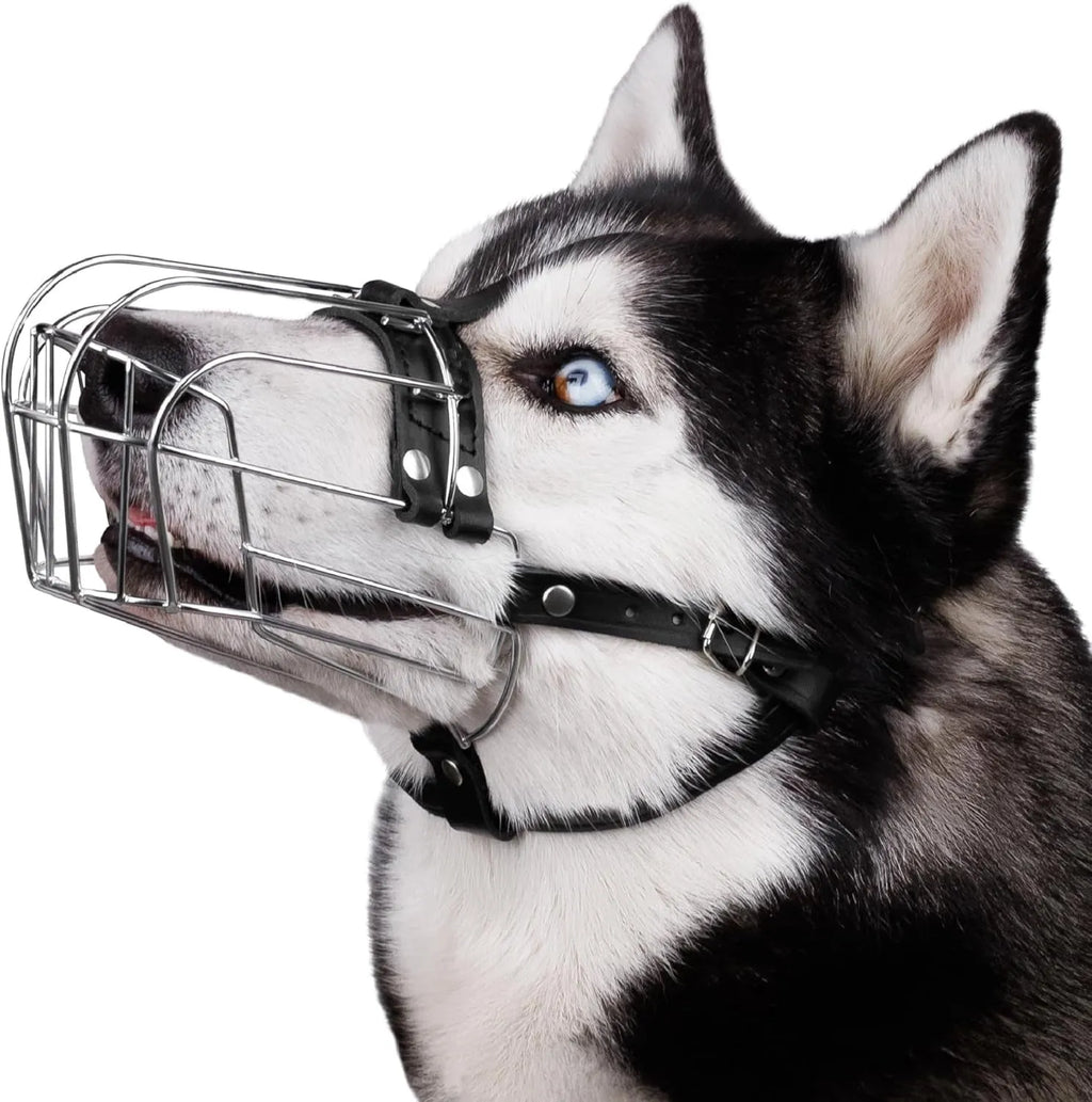 Black metal mesh basket dog muzzle for golden retriever or German shepherd with adjustable straps.