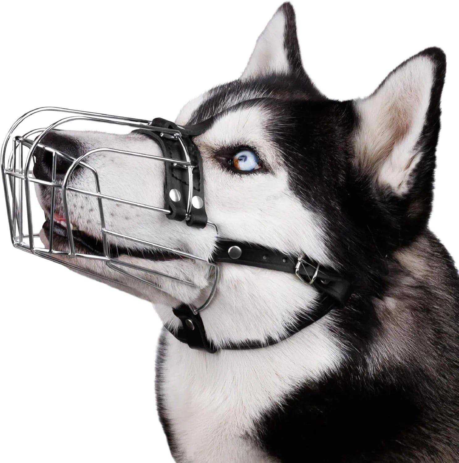 Black metal mesh basket dog muzzle for golden retriever or German shepherd with adjustable straps.