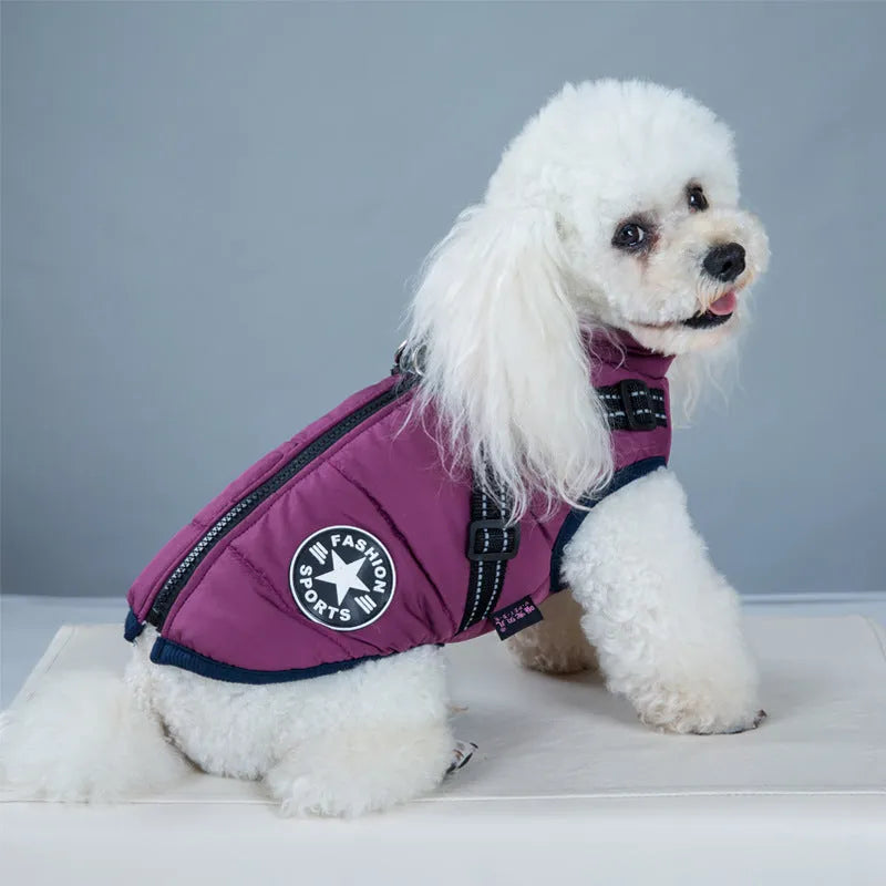 Waterproof dog coat in rain silk fabric with harness hole for lead attachment