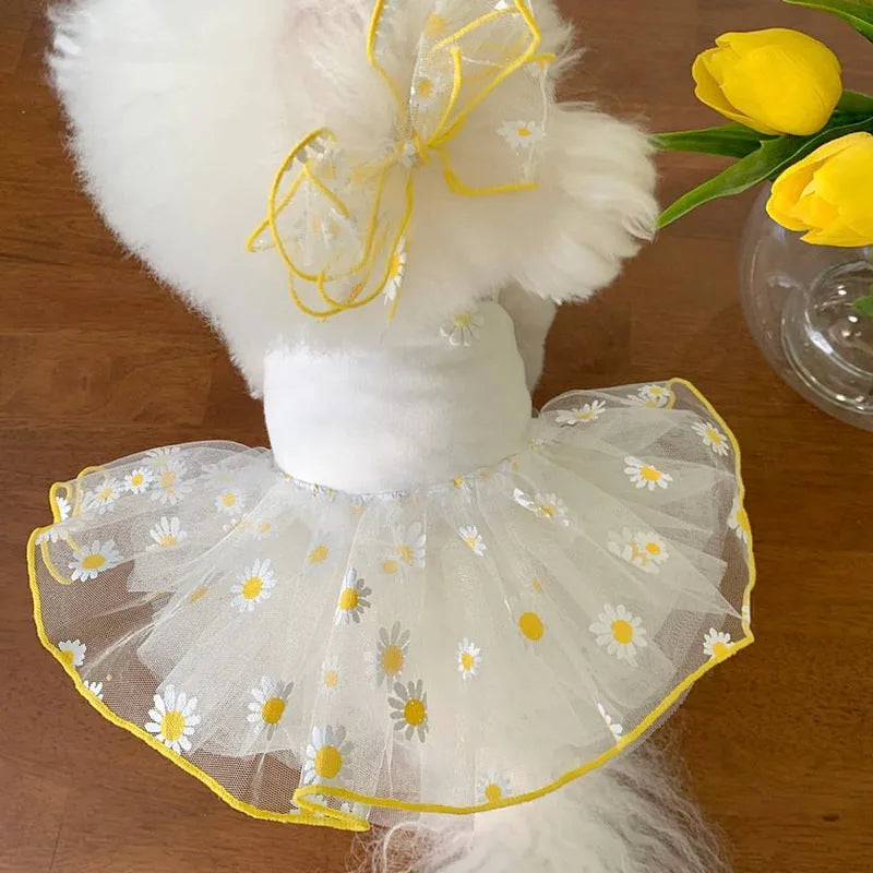Yellow daisy print polyester dog clothing shown in sizes XS to XL for summer wear