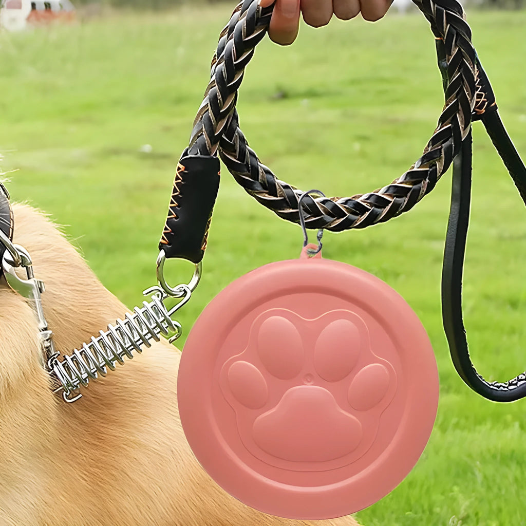Portable collapsible dog bowl with dual compartments in light green colour