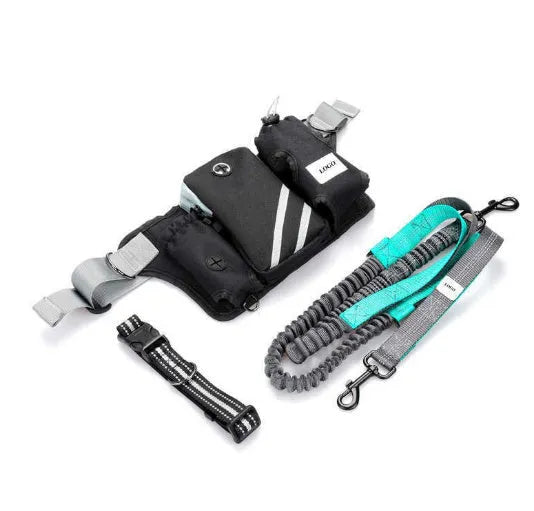Black outdoor pet training waist bag set with telescopic leash and collar for dog walking
