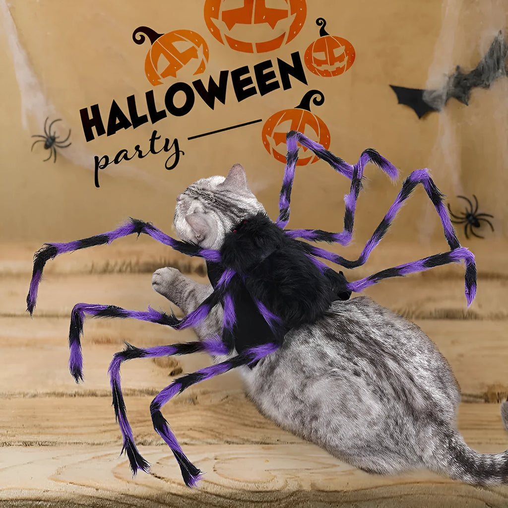 Grey Halloween spider costume for a small dog with eight legs