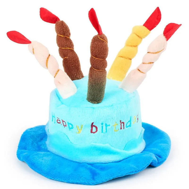 Small dog wearing removable blue birthday hat accessory for canine celebrations
