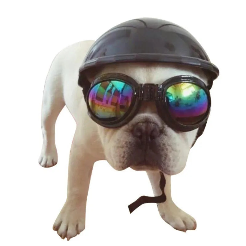 Plastic dog motorcycle cap helmet shown in multiple colours with Japanese style design