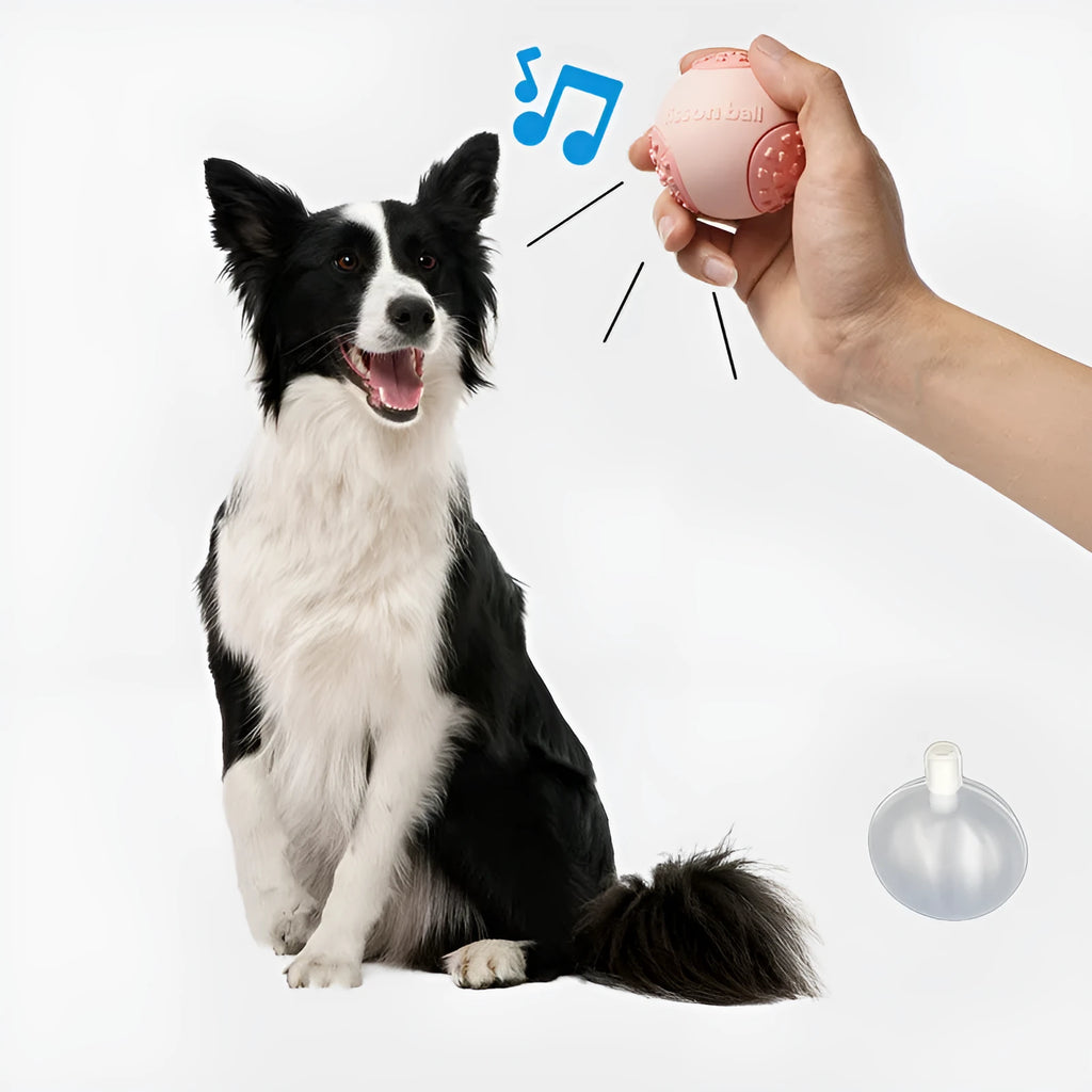 Green and pink interactive rolling ball dog toy 64mm diameter on a neutral background.
