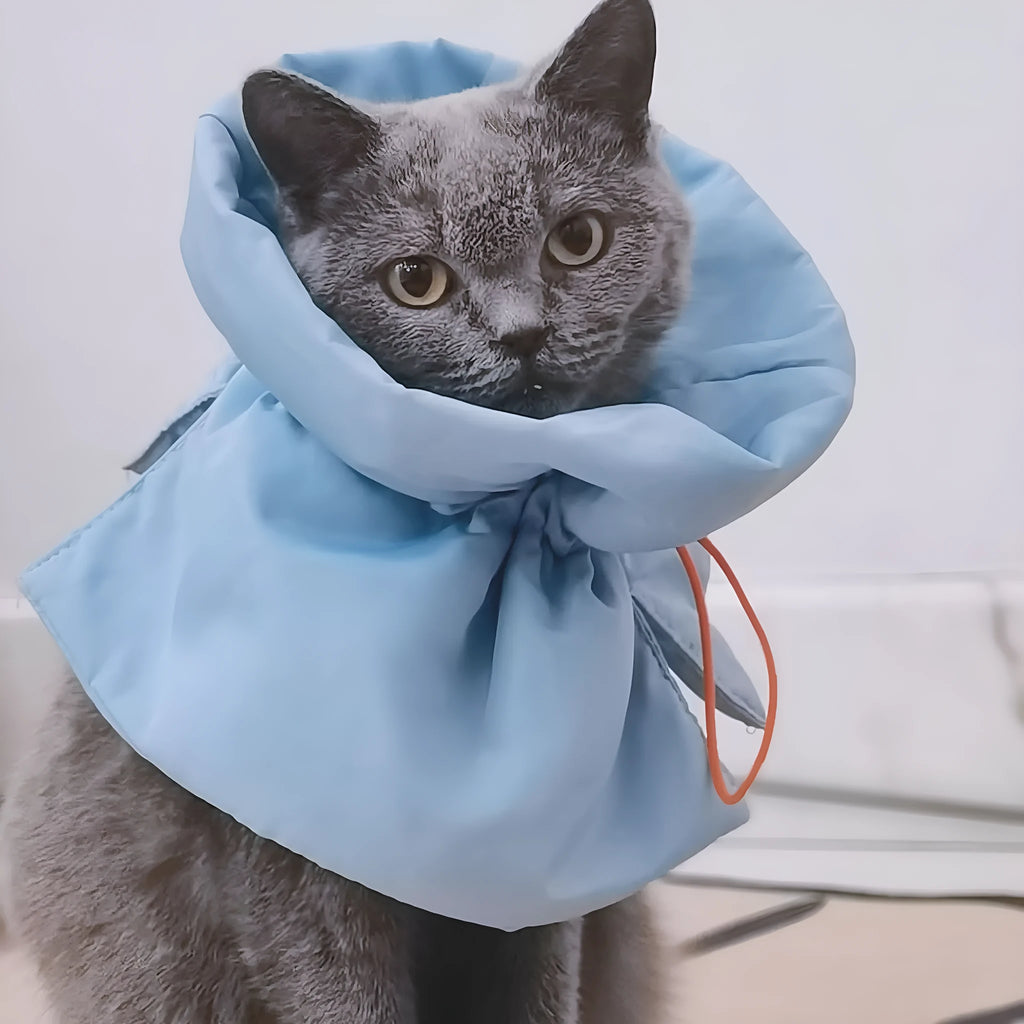 Adjustable soft cat recovery cone collar in blue with elastic buckle for post-surgery protection