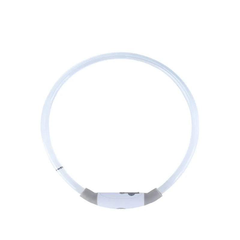 USB rechargeable LED dog collar glowing in dark with adjustable strap