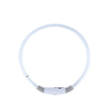 USB rechargeable LED dog collar glowing in dark with adjustable strap