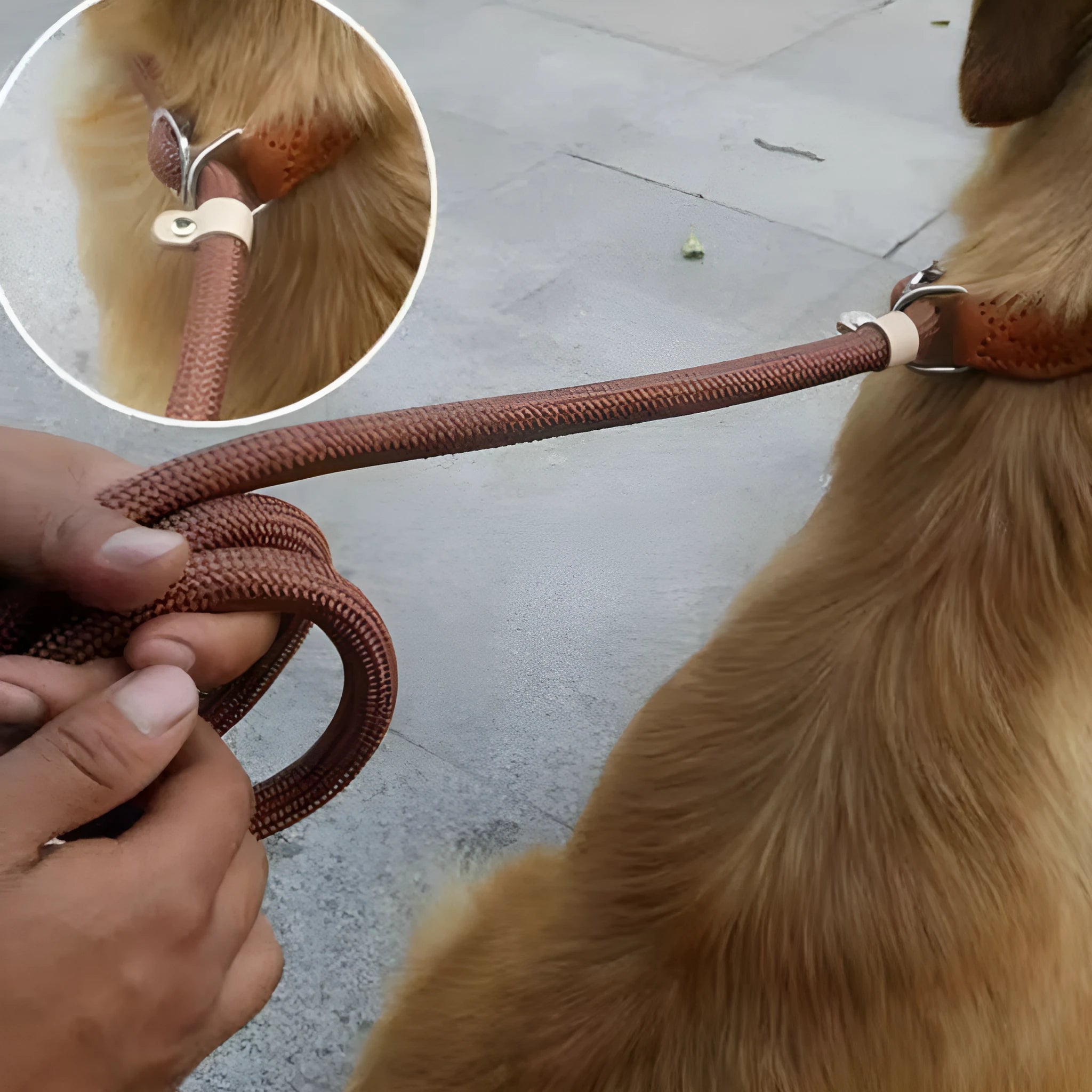 Brown nylon dog lead with P chain section and hand holding rope, 2.1 metres long