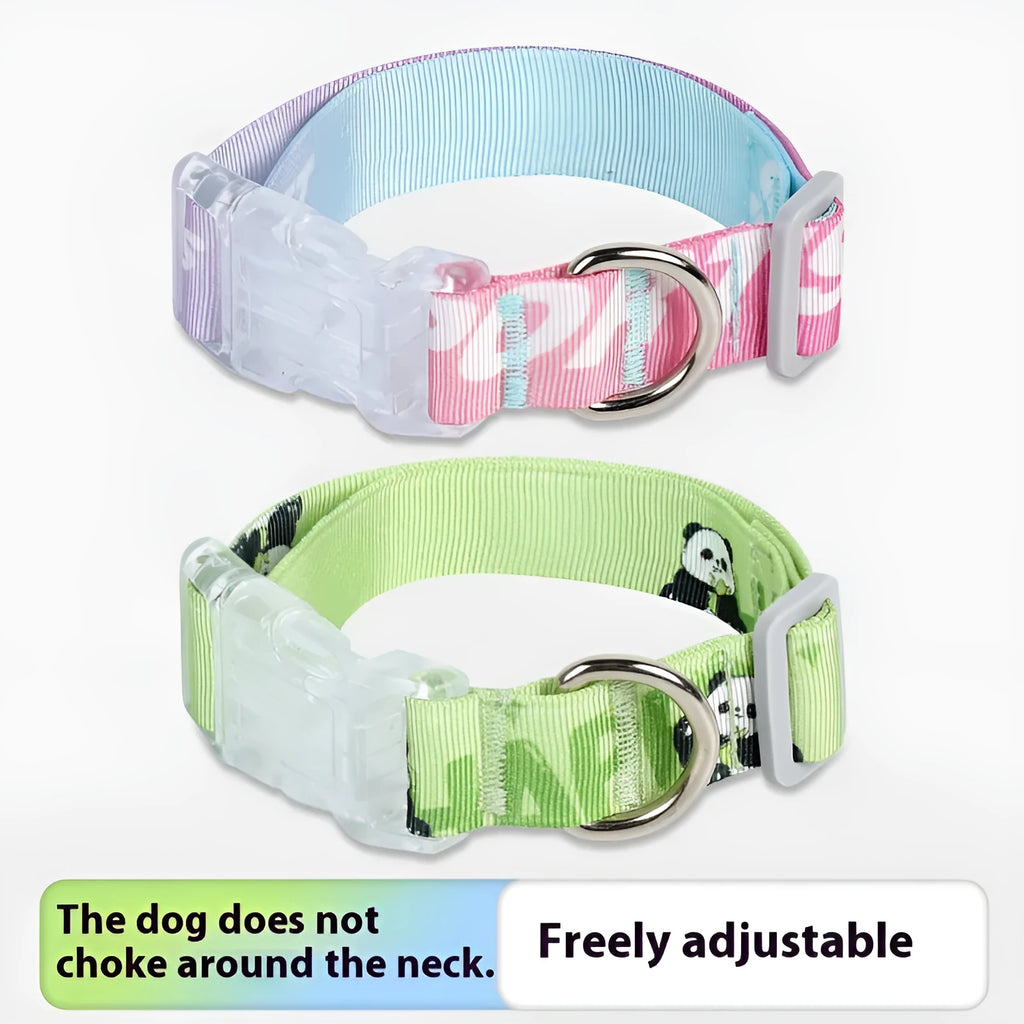 Adjustable nylon dog collar with cartoon gradient printing pattern in two colour variants