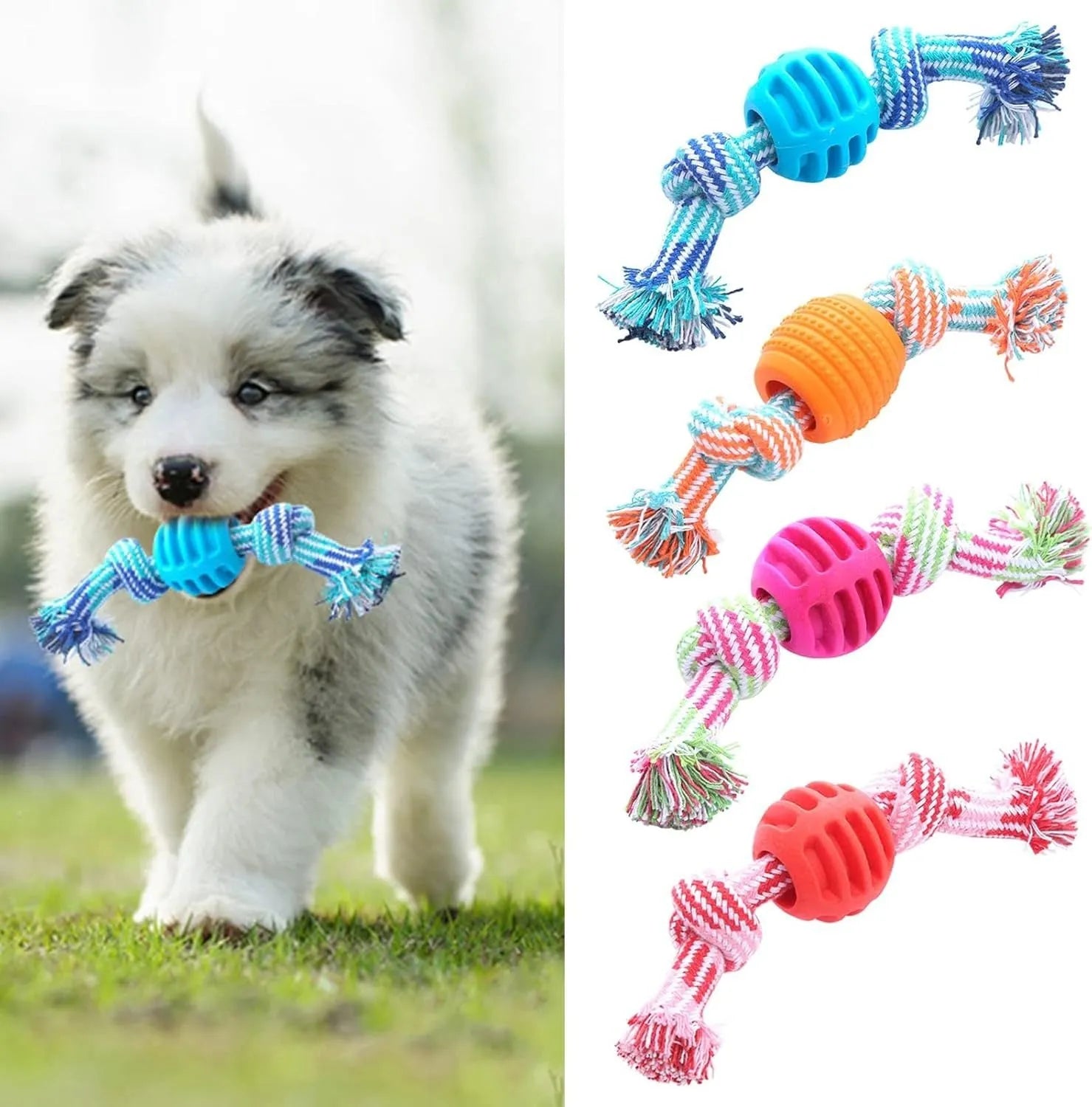 Blue dog dental chew toy with rope sections and molar-cleaning ridges for oral health
