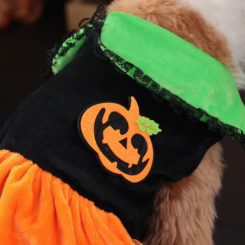 Halloween pumpkin skirt pet costume for small dog or cat in crystal velvet material