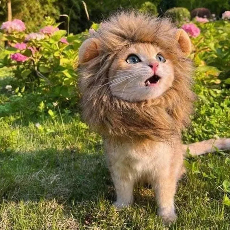 Lion mane wig for cats and small dogs made of plush artificial fur with an adjustable elastic headband.