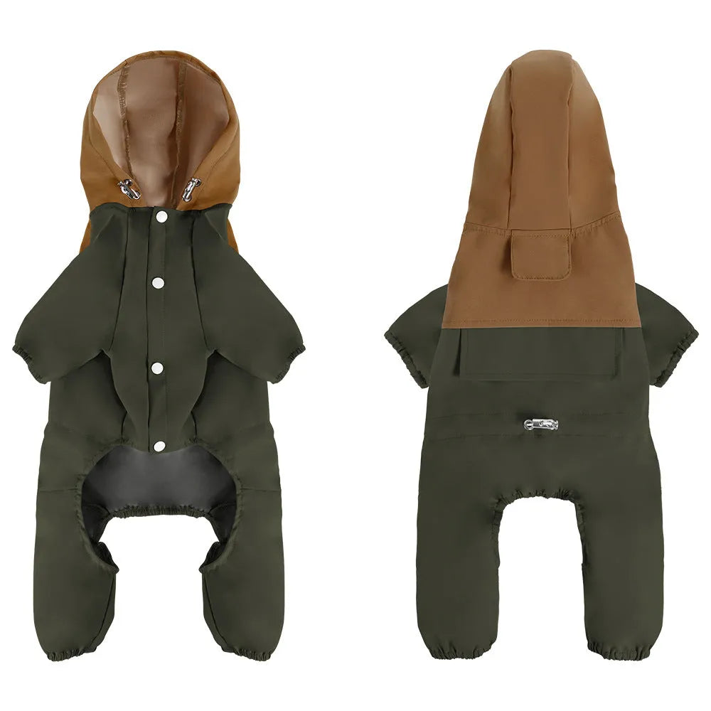 A dog wearing a khaki-coloured British-style waterproof shell jacket outdoors.