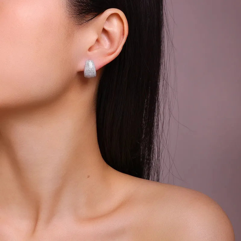 Geometric S925 sterling silver earrings with white moissanite stones and alloy earrings pair