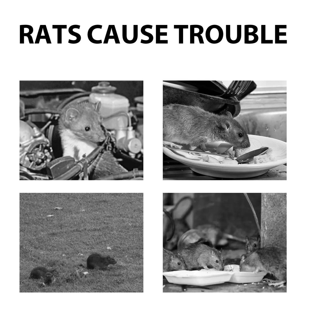 60 ml natural rat repellent spray bottle with clove and peppermint oils for home and car use