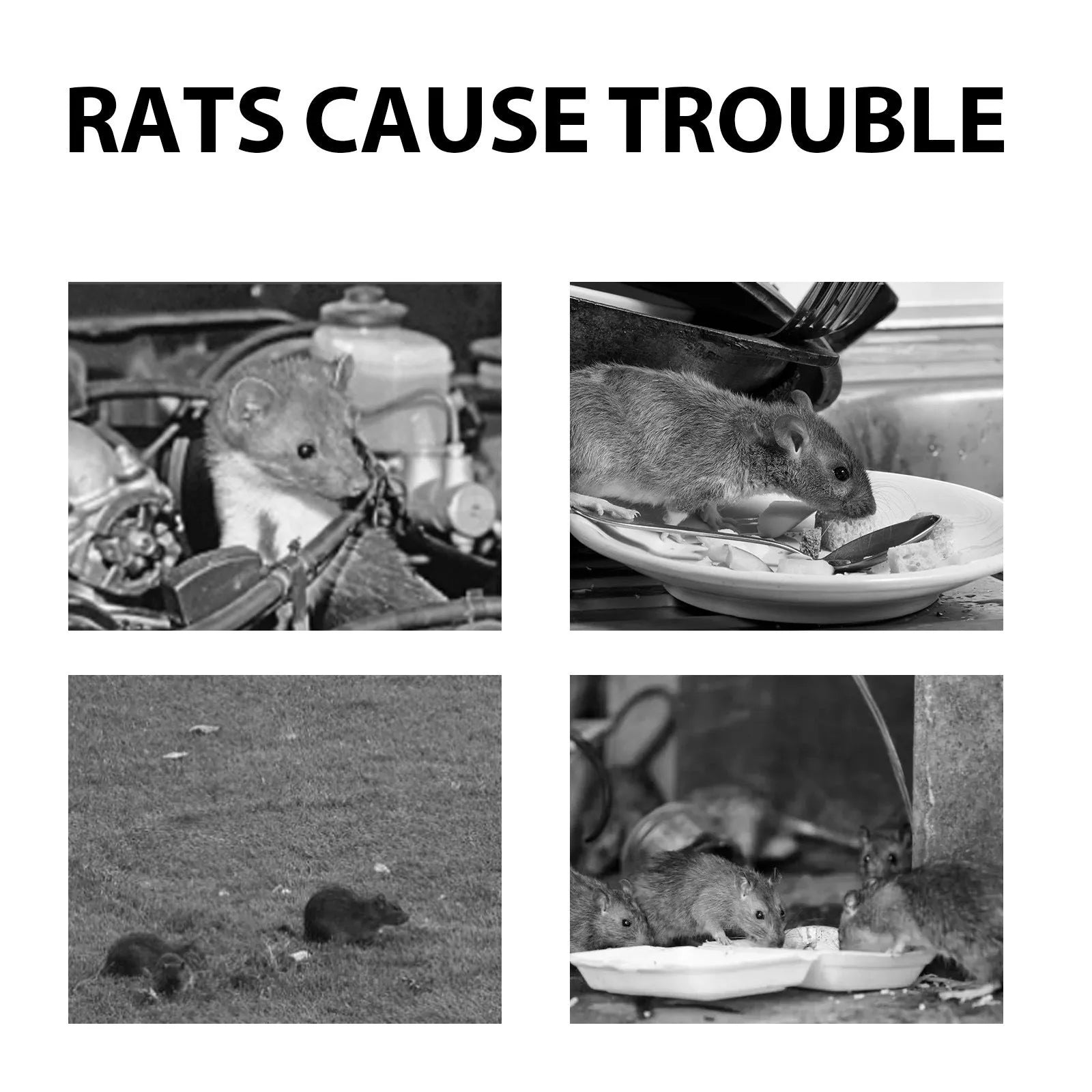 60 ml natural rat repellent spray bottle with clove and peppermint oils for home and car use