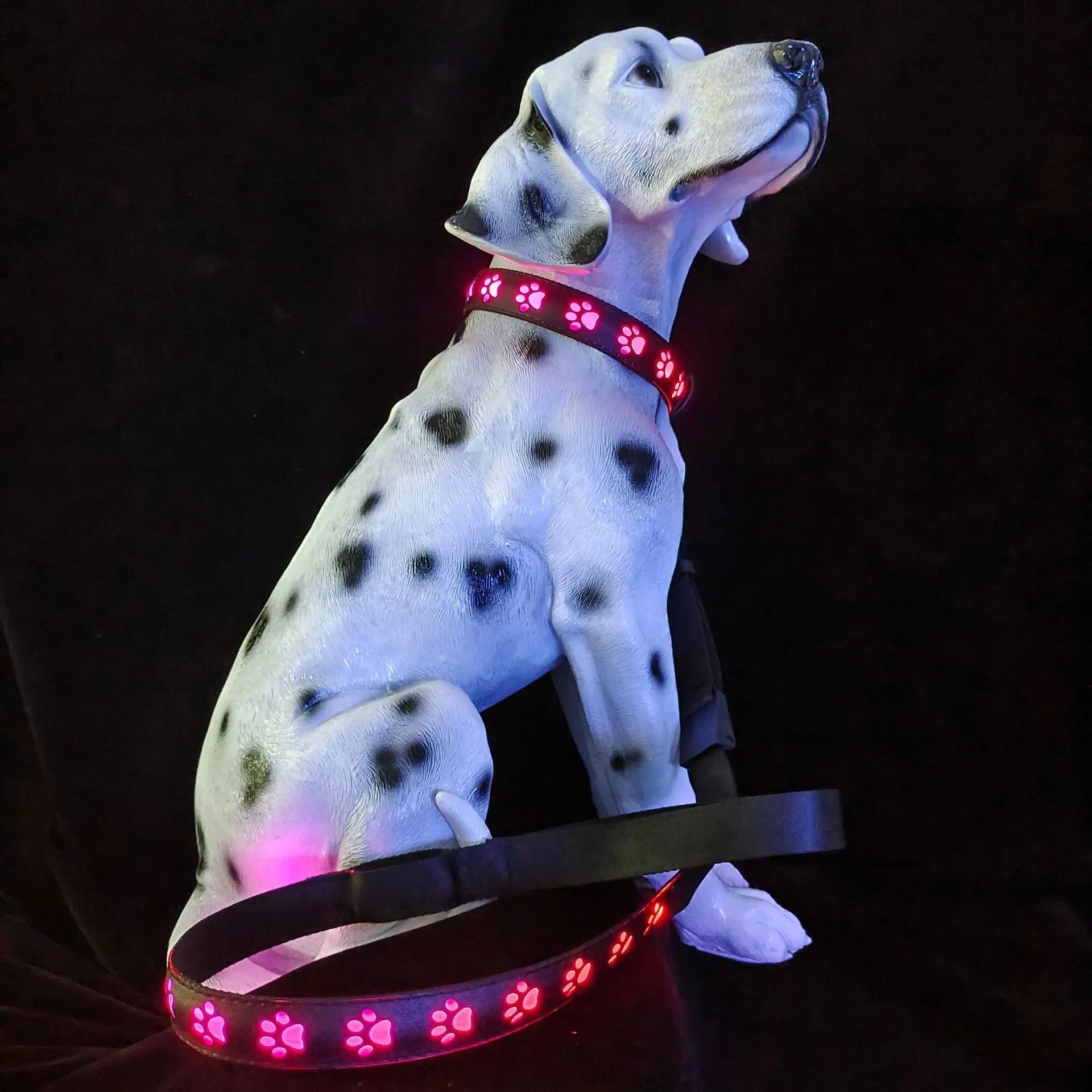 LED luminous dog collar with paw printing design showing 7 colour lighting options