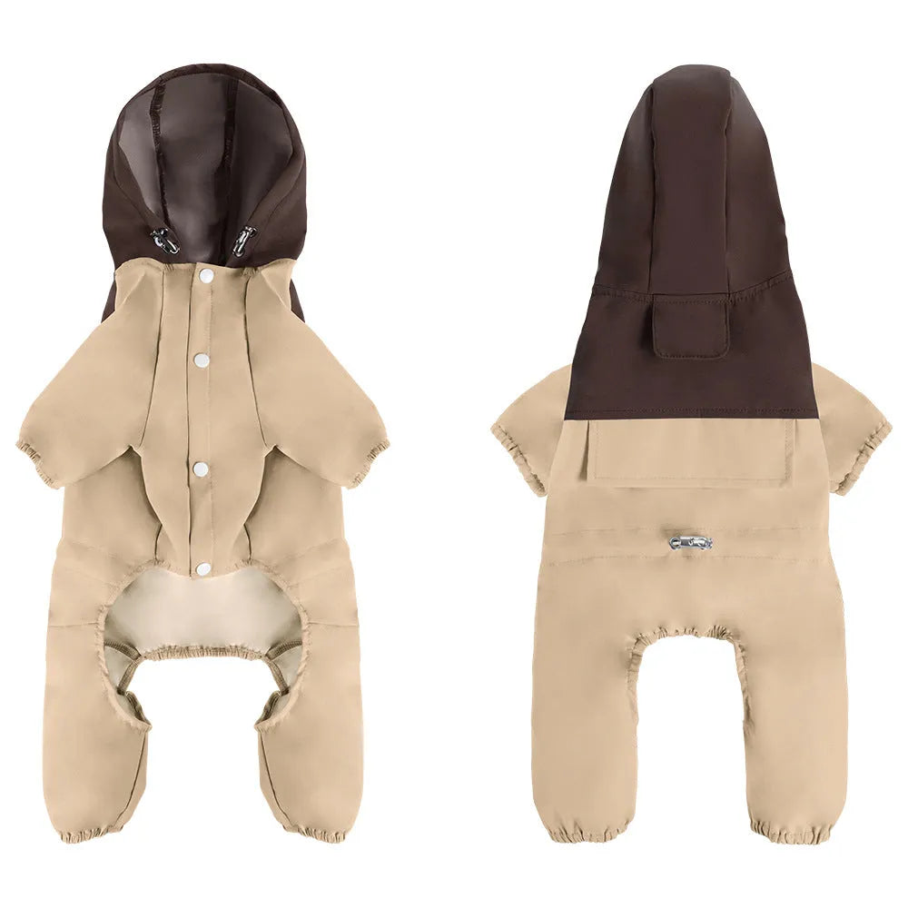 A dog wearing a khaki-coloured British-style waterproof shell jacket outdoors.