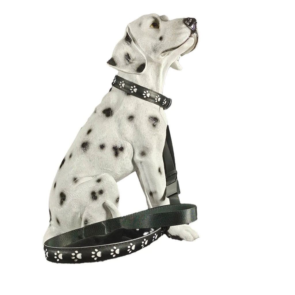 LED luminous dog collar with paw printing design showing 7 colour lighting options