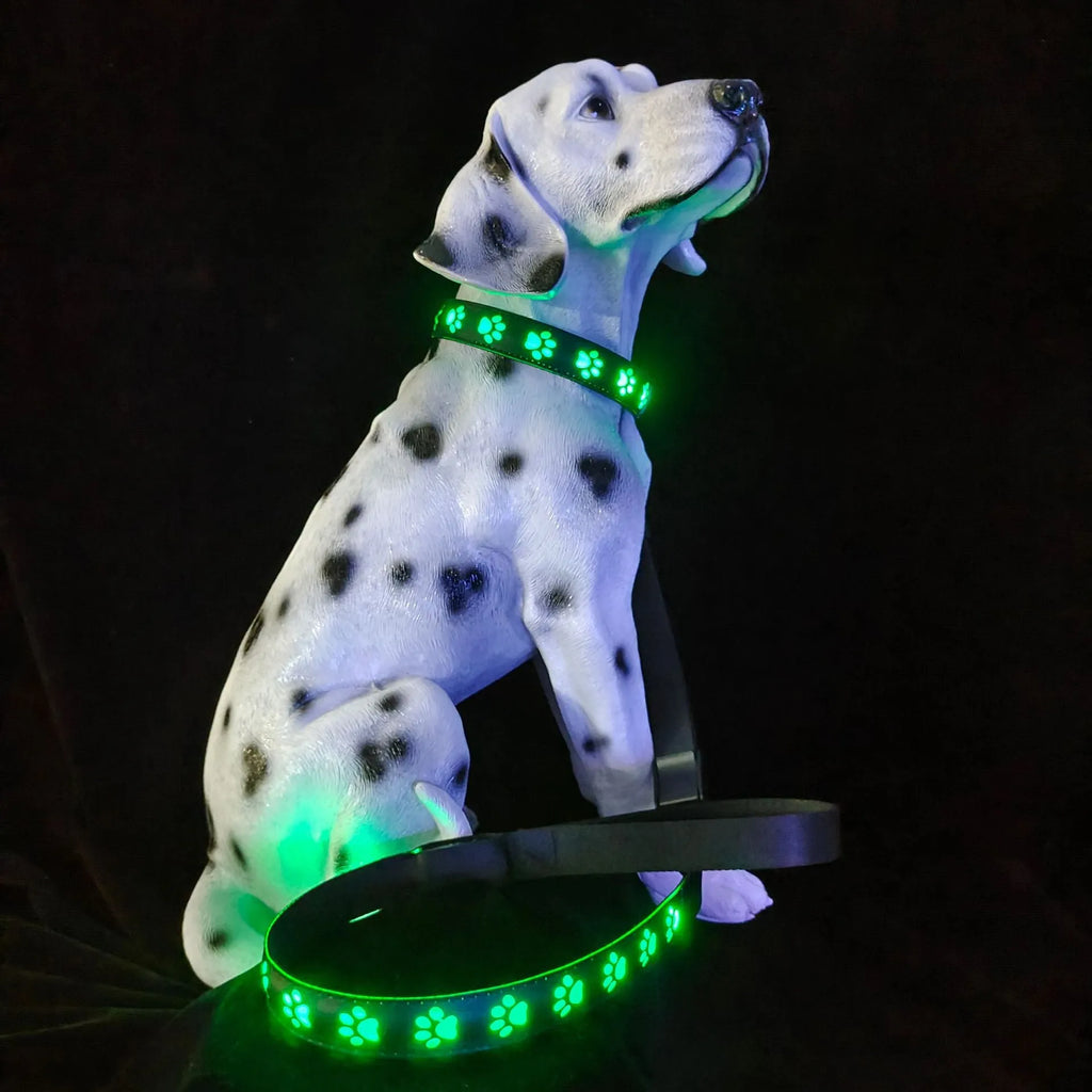 LED luminous dog collar with paw printing design showing 7 colour lighting options