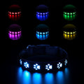 LED luminous dog collar with paw printing design showing 7 colour lighting options