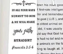 European style stainless steel bookmark with CF-S5170 steel colour finish for Bible marking