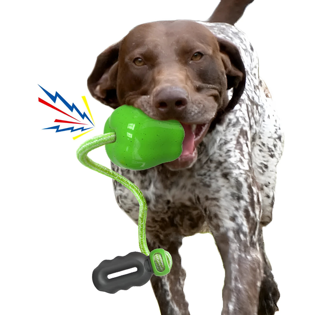 Green Apple-shaped plastic dog toy with dropping ball design containing squeaker