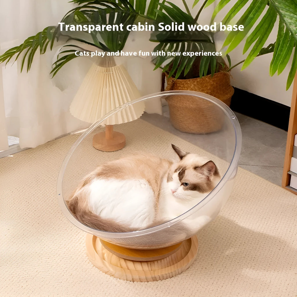 Transparent acrylic cat space capsule bathtub bed with turntable base on wooden floor