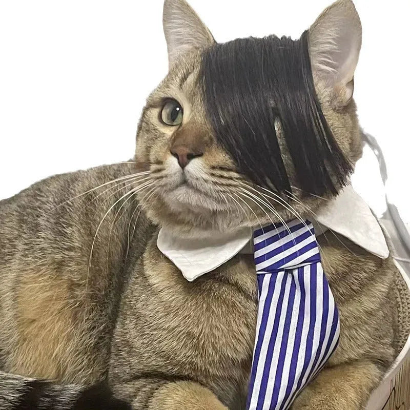 Black imitation braid cat wig for pet dress up and costume events.