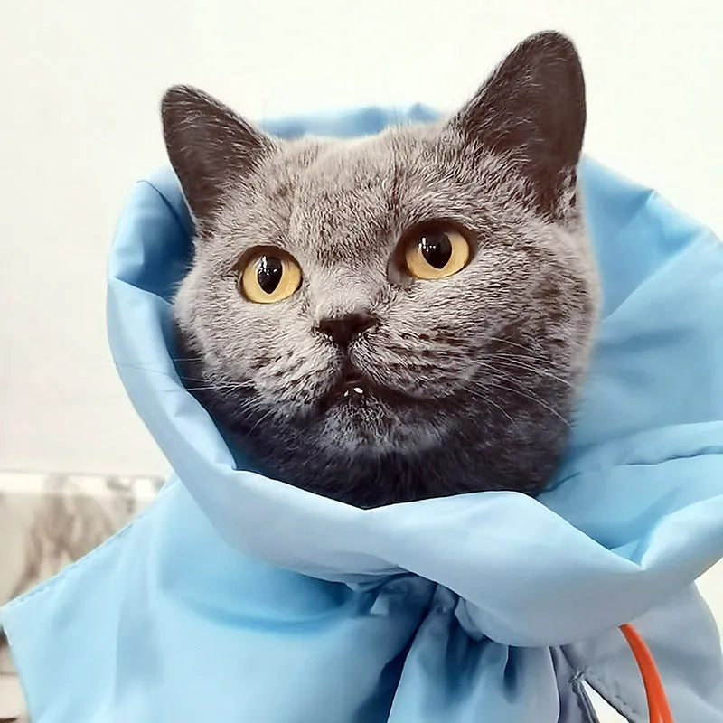 Adjustable soft cat recovery cone collar in blue with elastic buckle for post-surgery protection