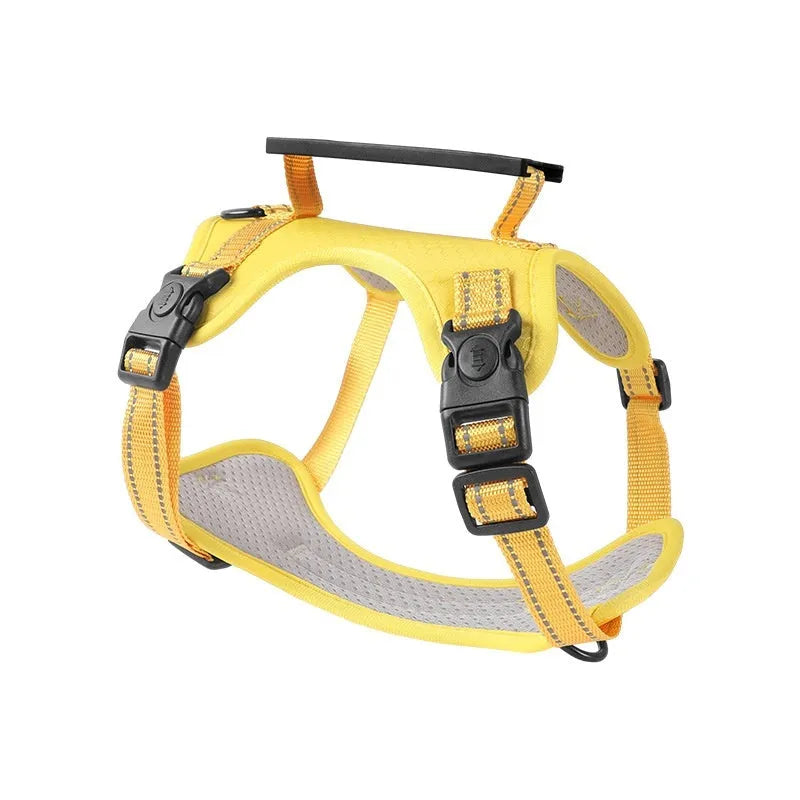 A dog harness and lead set in a choice of six colours, made from durable polyester with an adjustable chest strap.