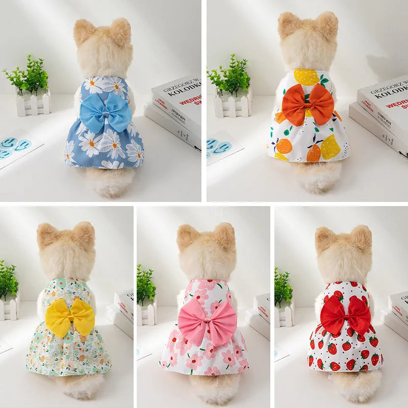 Orange bow floral butterfly pet dress with knot fastening on small dog