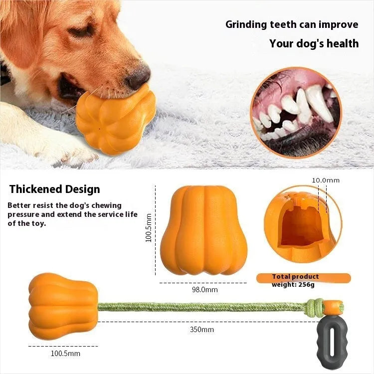 Pumpkin orange plastic molar-shaped dog chew toy with a blue rope attached for throwing.