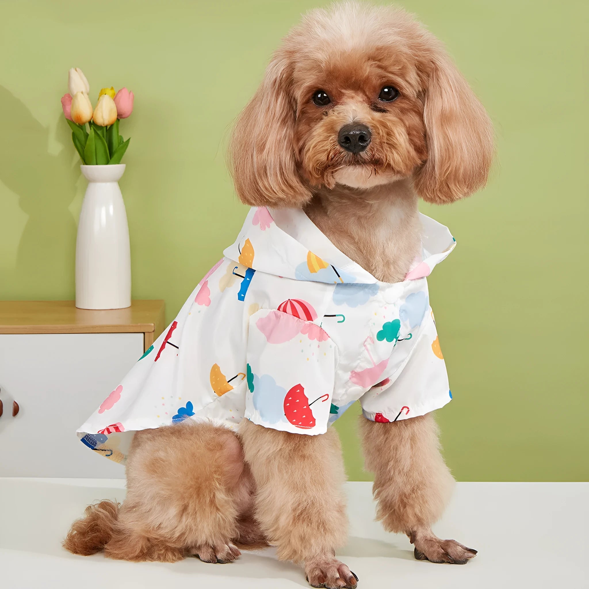Colourful cartoon umbrella pattern dog raincoat in polyester with adjustable belly strap