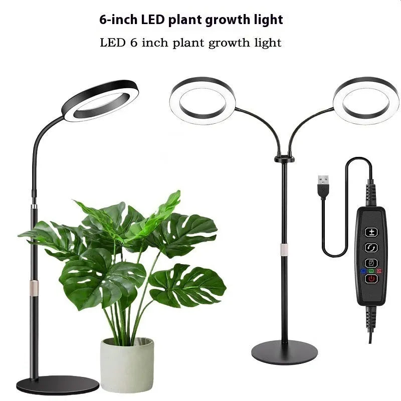Adjustable floor-standing plant grow light with a circular angel ring head on a tall pole.