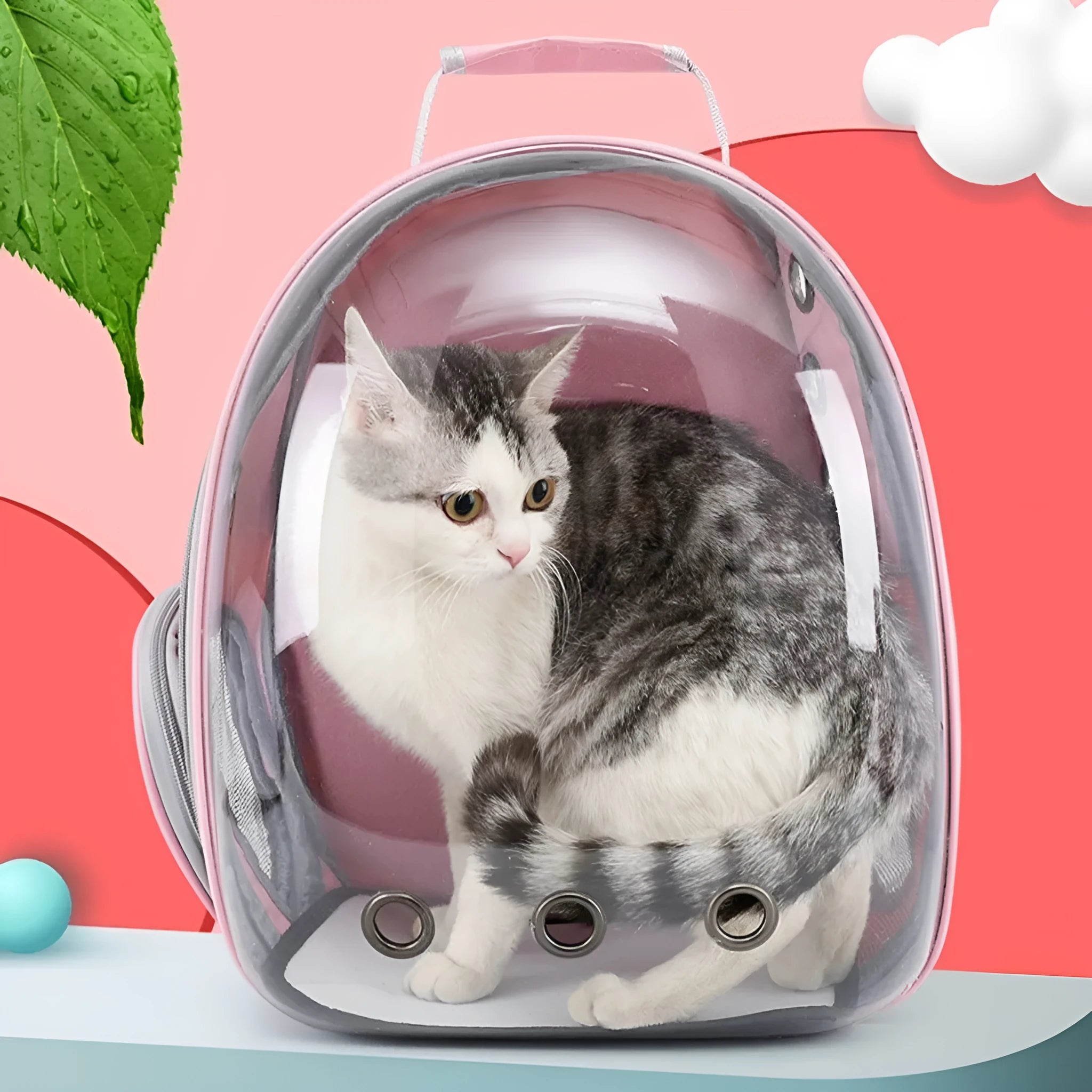 Grey astronaut-style structured cat carrier bag with a side-opening door