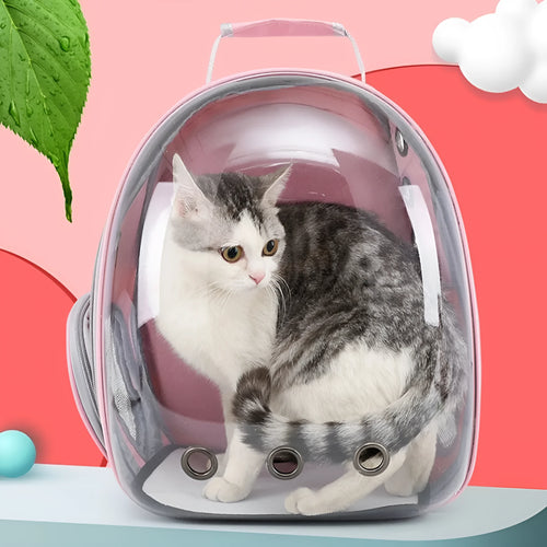 Grey astronaut-style structured cat carrier bag with a side-opening door