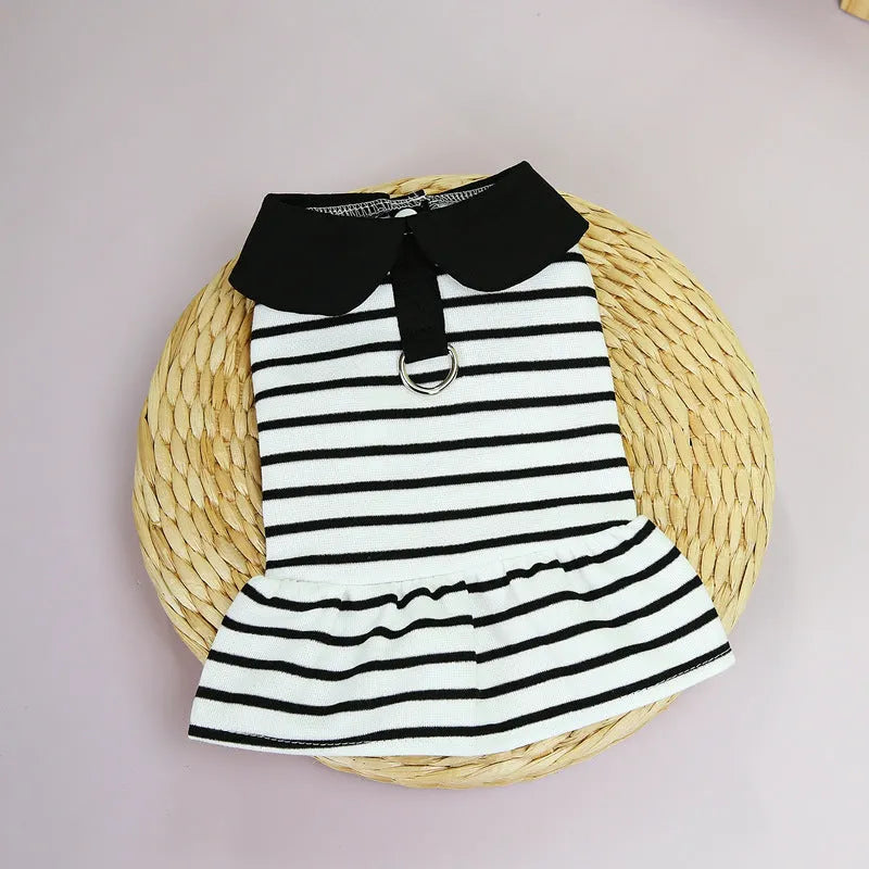 Pet dog wearing striped cotton t-shirt with matching skirt summer outfit set
