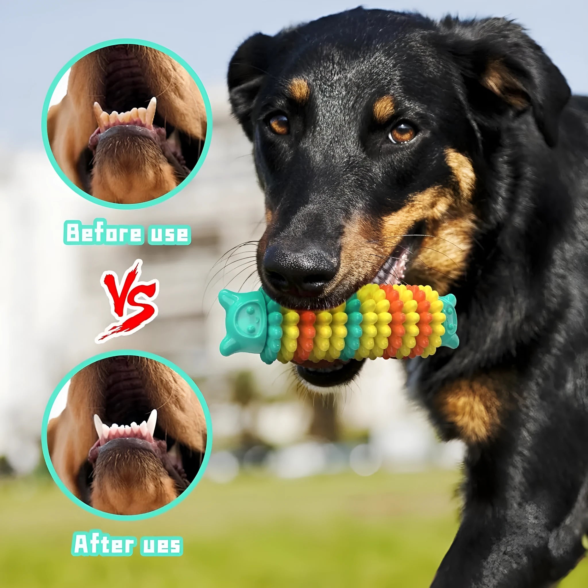 Blue rubber caterpillar-shaped dog chew toy for aggressive chewers