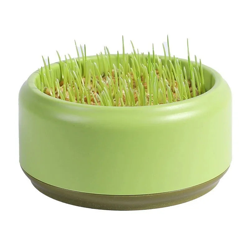 Hydroponic cat grass kit with plastic cup and five seed packets on a table