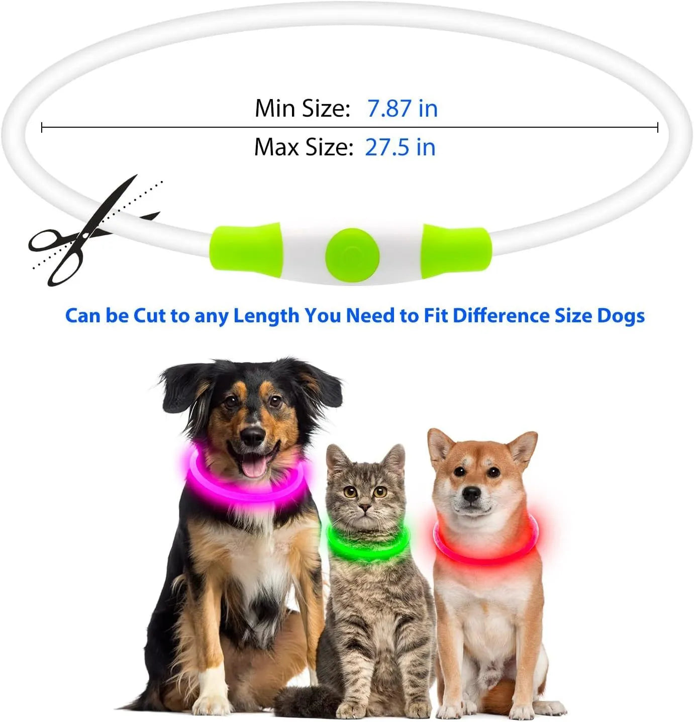 USB rechargeable LED dog collar glowing in dark with adjustable strap