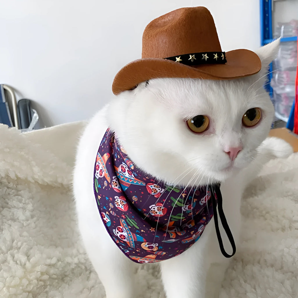 British cat cowboy hat in non woven fabric with decorative velvet belt and ribbon trim