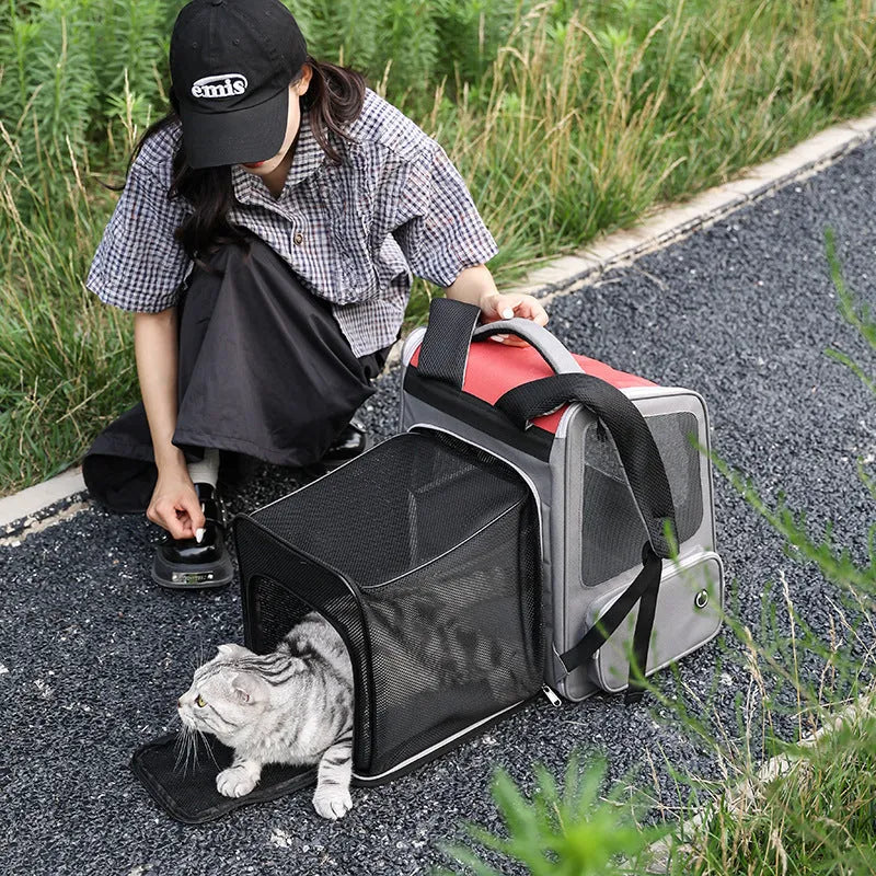 Portable pet carrier backpack with 18L expandable capacity in black nylon for cats and dogs