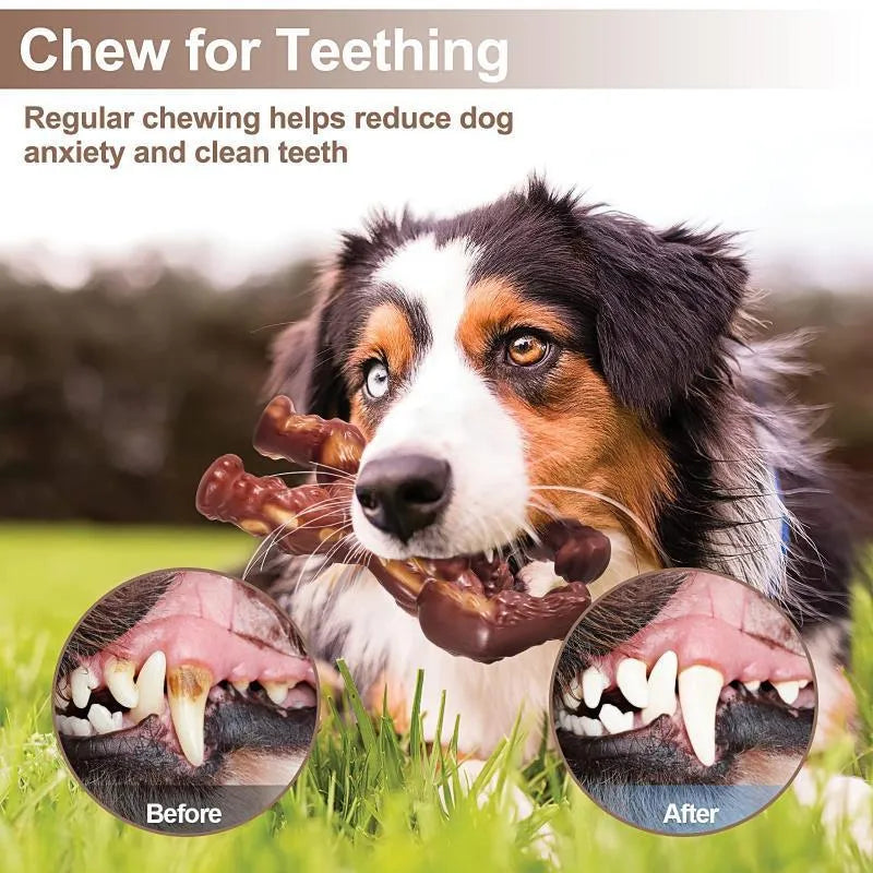 Scarlet red nylon dog chew toy with beef flavour and textured surface for molar nibbling